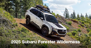 2025 Subaru Forester Wilderness